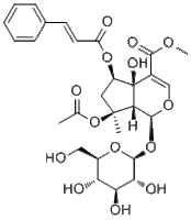 6-O-trans-Cinnamoylphlorigidoside B1246012-25-8特价