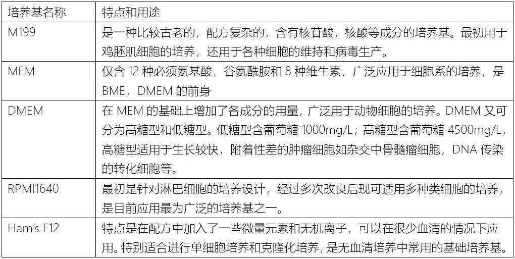 要开始培养细胞了！我们应该注意哪些事项？