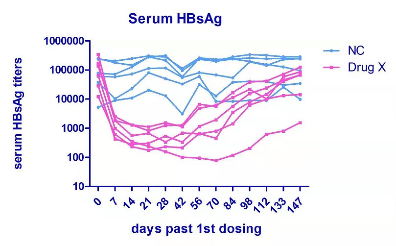 干货分享丨 HBV 动物模型解析