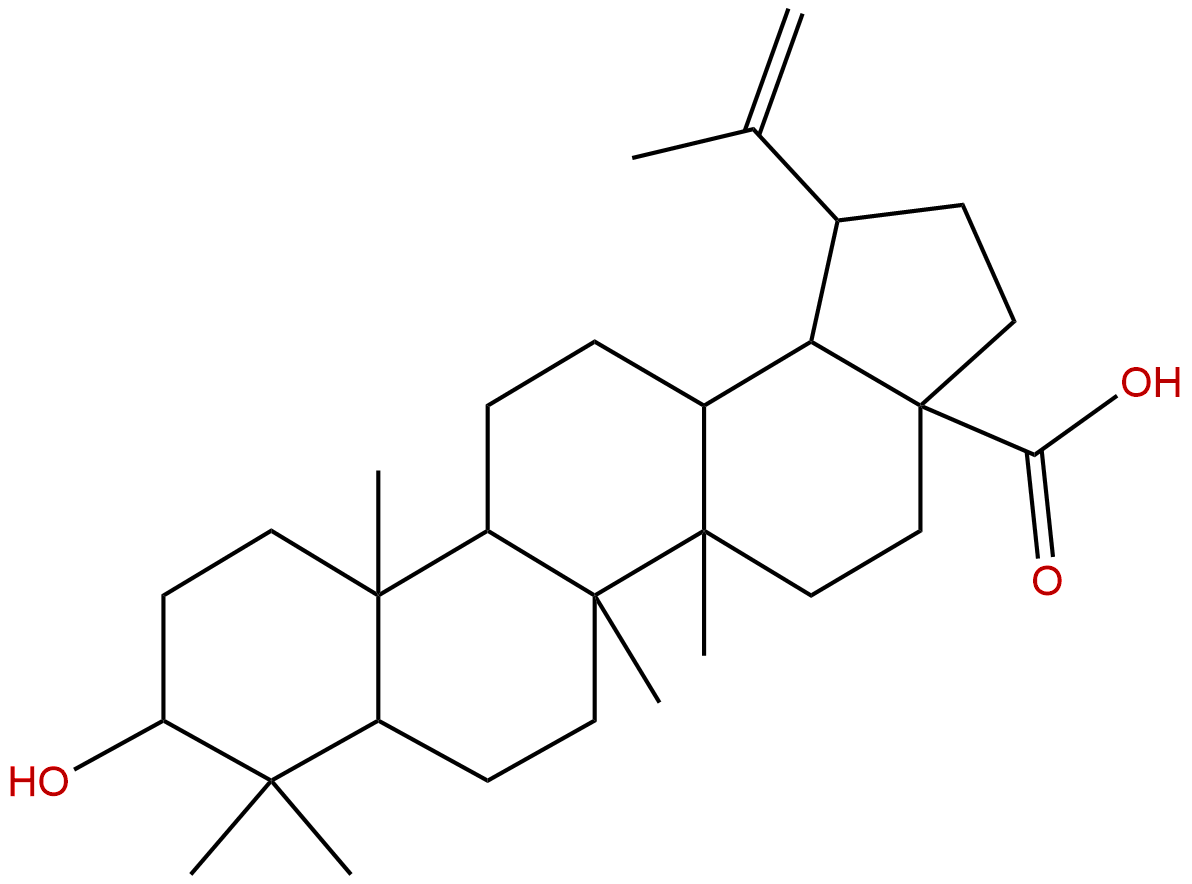 表白桦脂酸38736-77-5