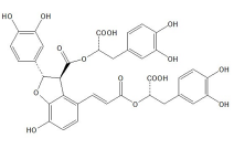 丹酚酸B、丹参酸B、丹参酸乙、紫草酸B121521-90-2