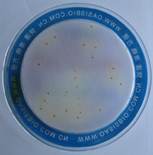 粪链球菌检测板