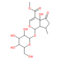 5-羟基马鞭草苷50816-24-5