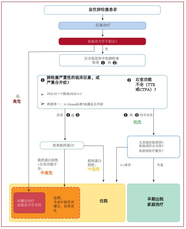 肺栓塞思维导图图片