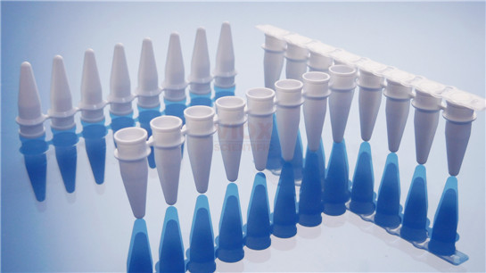 0.2 ml PCR八联管配荧光定量PCR八联管光学平盖