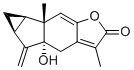 5α-Hydroxychloranthalactone A6