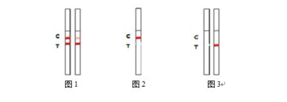 动物疾病抗原检测卡
