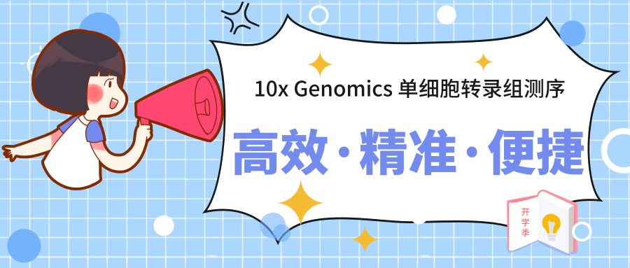 10x Genomics 单细胞转录组测序