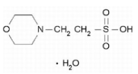 吗啉乙磺酸
