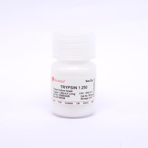 胰蛋白酶1：250 供应 9002-07-7