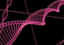 8月必看的干细胞研究进展！