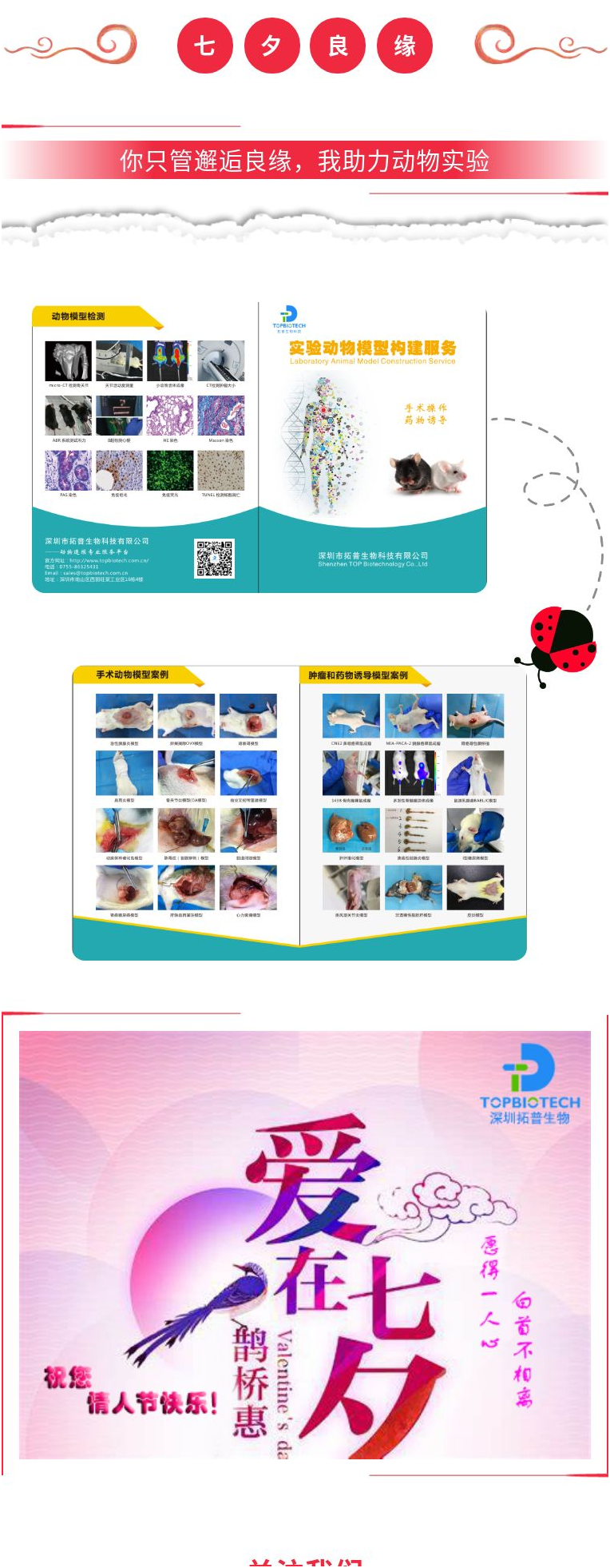 你只管邂逅良缘，我助力动物实验