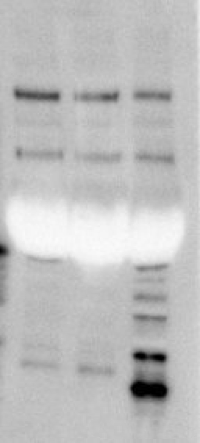 你是否想过：我的 WB 内参是否选择正确？