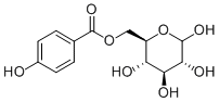 6-O-对羟基苯甲酰葡萄糖202337-44-8