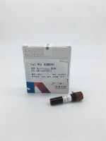 ROX Reference 核酸染料 (25 mM)