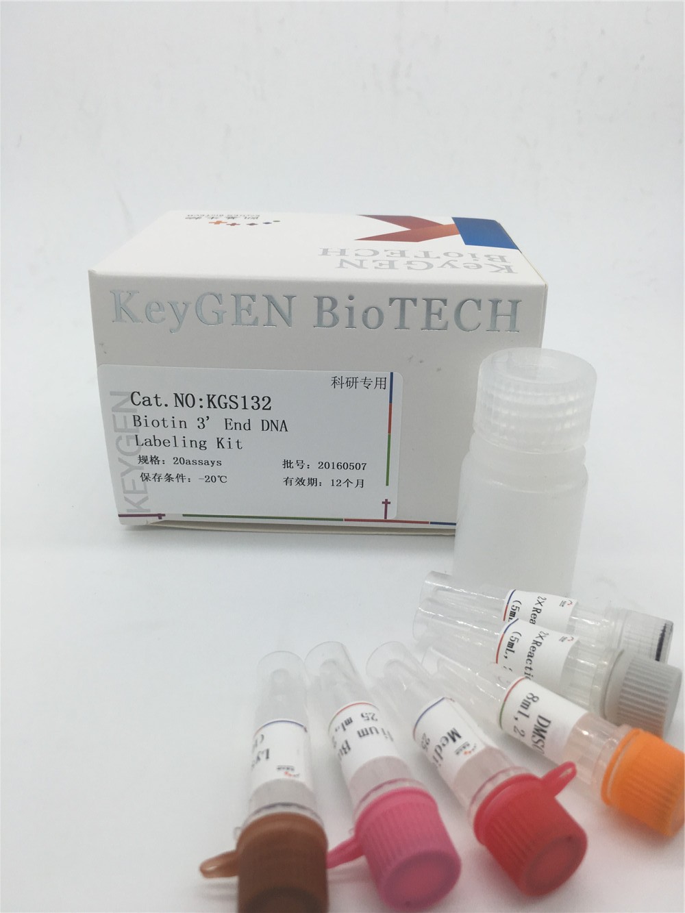 Biotin 3' End DNA Labeling Kit