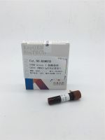 SYBR Green I 核酸染料(20× DMSO)