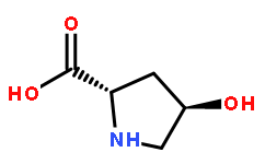 51-35-4L-羟脯氨酸