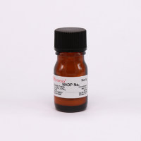 NADP Na2 氧化型辅酶Ⅱ;辅酶Ⅱ钠盐