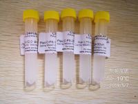 Plain PMMA 球[100µm](Polymethylmethacrylate