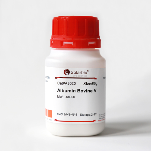 Albumin BovineⅤ 牛血清白蛋白Ⅴ；BSA 牛白 牛血清白蛋白 牛白V