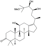 25-甲氧基泽泻醇A155801-00-6