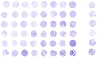 胰腺癌及正常胰腺组织芯片 D540701
