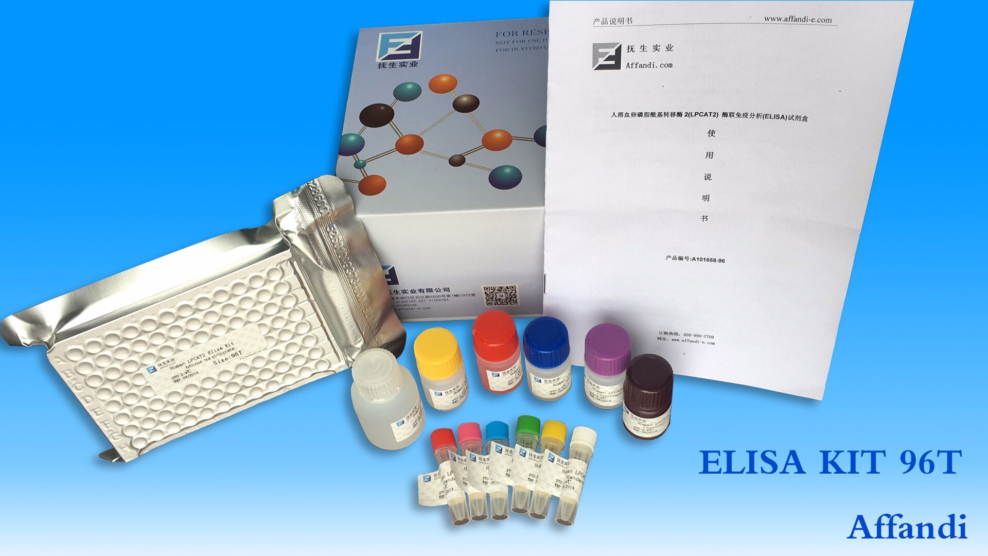 白细胞介素26检测试剂盒 