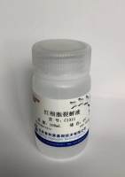 红细胞裂解液  C1311  厂家直销，提供OEM定制服务，大包装更优惠 