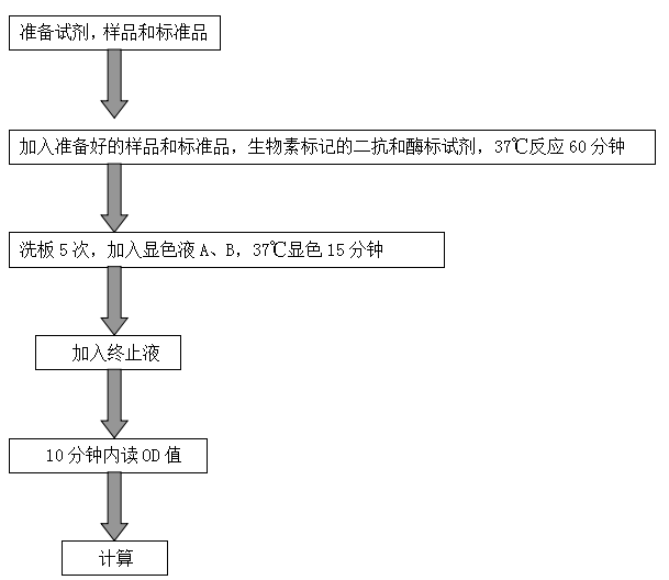 大鼠去甲肾上腺素（NE）试剂盒说明书