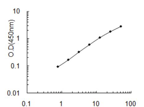 Dohh/ Rat Dohh ELISA试剂盒