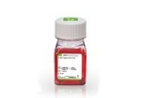 0.25% Trypsin-EDTA (1X), Phenol Red