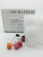 膜蛋白和胞浆蛋白提取试剂盒（次序去污剂法）