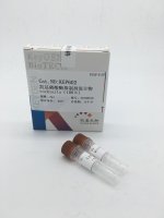 磷酸酶抑制剂混合物