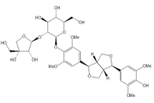灯台叶总生物碱