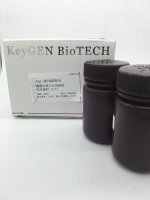 磷酸化蛋白染胶荧光染料(1X)