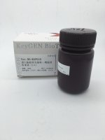 蛋白染胶荧光染料-增强型鲁米诺(1X)