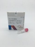 预染蛋白分子量 Marker(20-120KD)