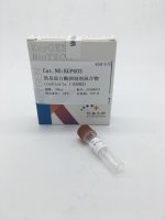 蛋白酶抑制剂混合物