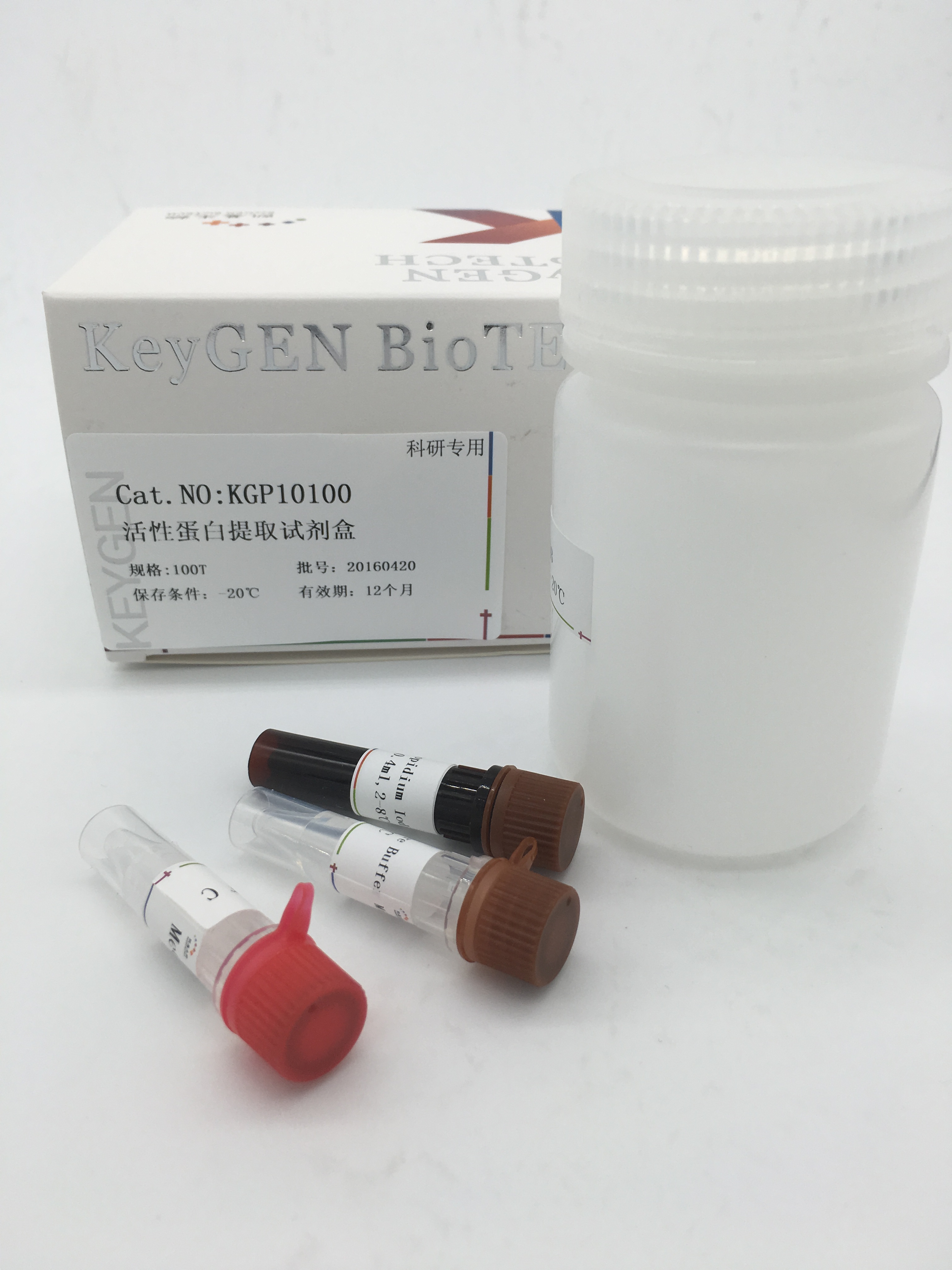 活性蛋白提取试剂盒