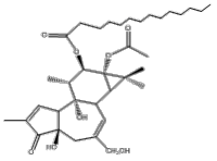 16561-29-8伏波醇-12-十四烷酸酯-13-乙酸酯