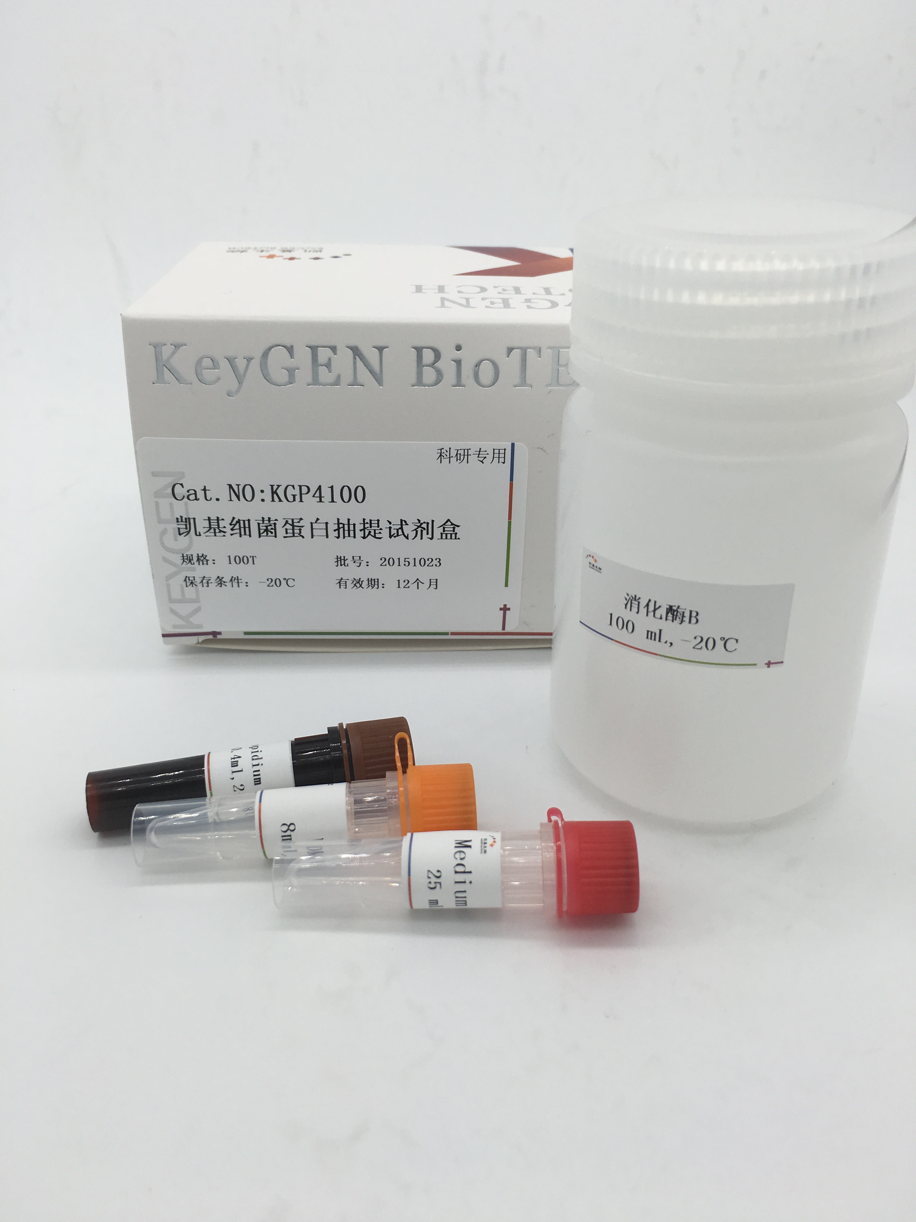 细菌蛋白提取试剂盒