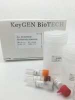 线粒体蛋白提取试剂盒