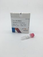 蛋白分子量 Marker（14.4-116KD）
