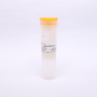 YA1069 透析袋 扁宽31 截留分子量100-500  YA1069 耗材 索莱宝