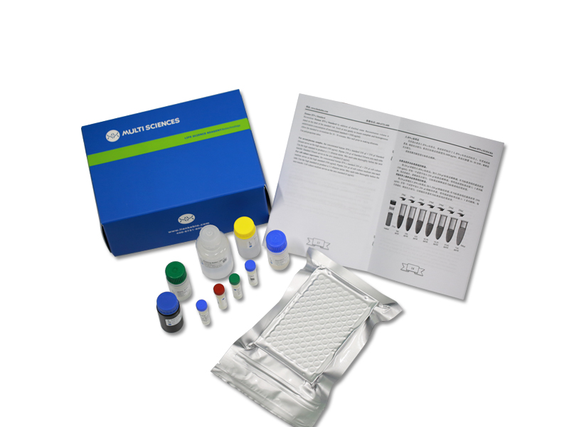 Human IL-6 ELISA Kit（人白介素6 ELISA试剂盒）