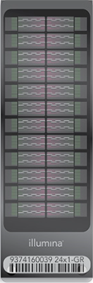 Infinium OncoArray-500K BeadChip