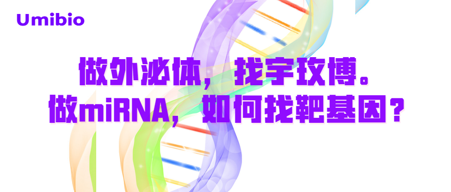 做外泌体，找宇玫博。做miRNA，如何找靶基因？