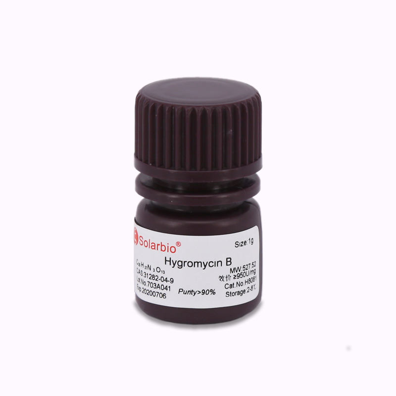 潮霉素B（干粉）  Hygromycin B ≥950U/mg  H8081 31282-04-9