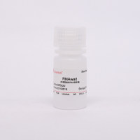 RNAwait(非冻型组织RNA保存液)